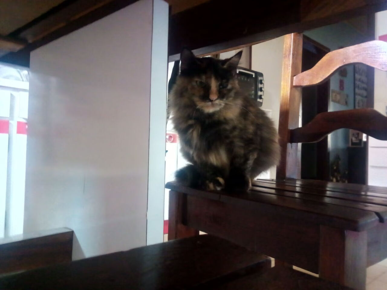 “西甲领先集团强势扩张,追赶者发起最后冲刺”,西甲竞争力