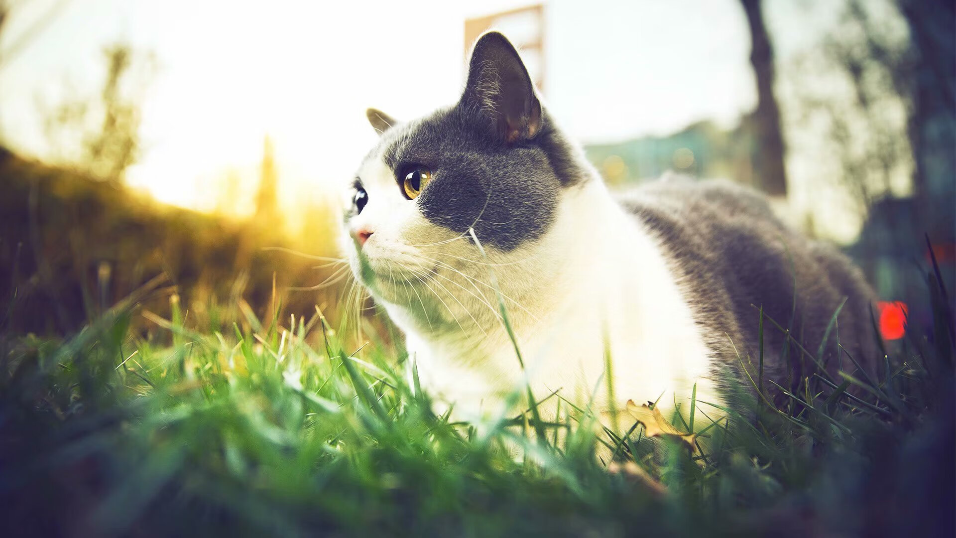 《顶级战队背后的故事:他们的训练与战术哲学》,战队顶级猎杀