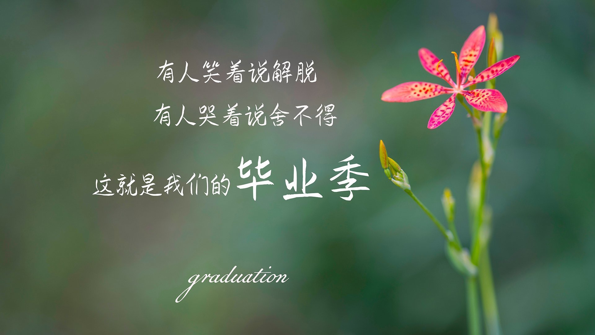 开云娱乐官网-典范“团队合作”在欧冠的完美展现，典范搭配